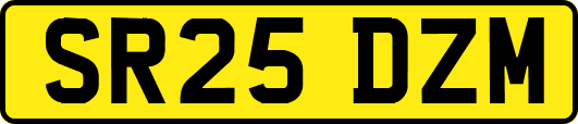 SR25DZM
