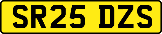 SR25DZS