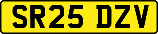 SR25DZV