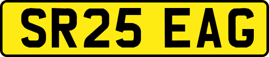 SR25EAG