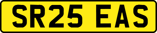 SR25EAS