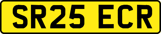 SR25ECR