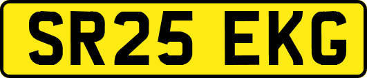 SR25EKG