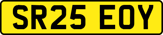 SR25EOY