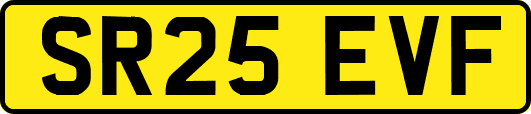 SR25EVF