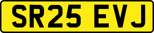SR25EVJ