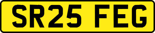 SR25FEG