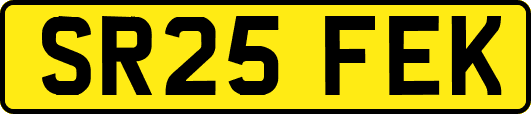 SR25FEK