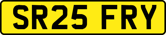 SR25FRY