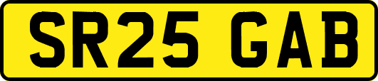 SR25GAB