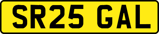 SR25GAL
