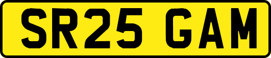 SR25GAM