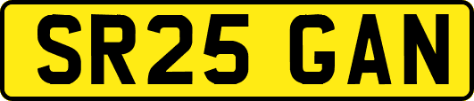 SR25GAN