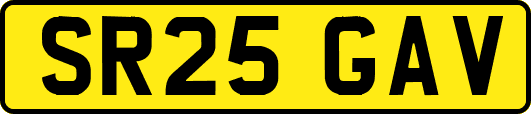 SR25GAV