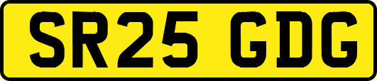 SR25GDG