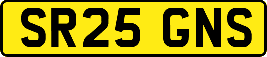 SR25GNS