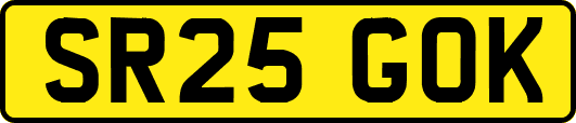 SR25GOK