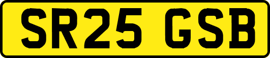 SR25GSB