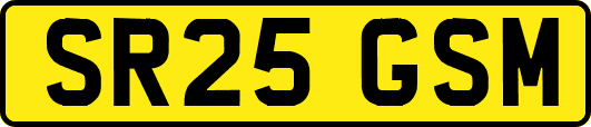 SR25GSM