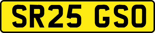 SR25GSO