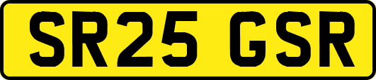 SR25GSR
