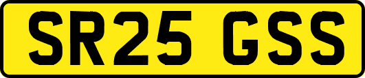 SR25GSS