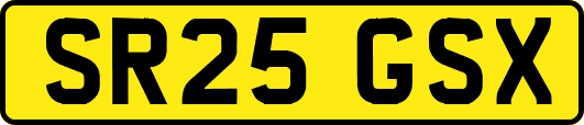 SR25GSX