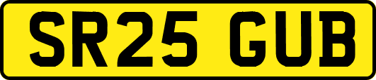 SR25GUB