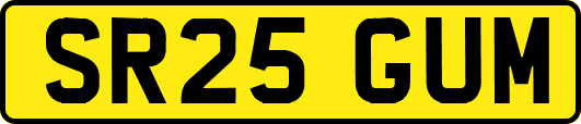 SR25GUM