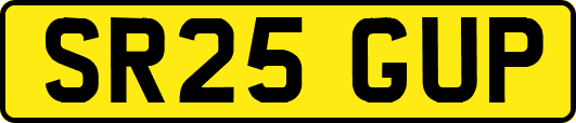 SR25GUP