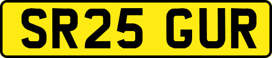 SR25GUR