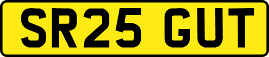SR25GUT