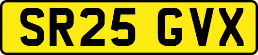 SR25GVX