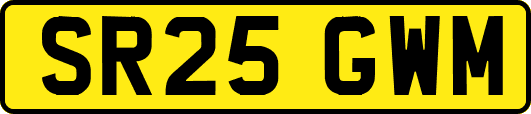 SR25GWM