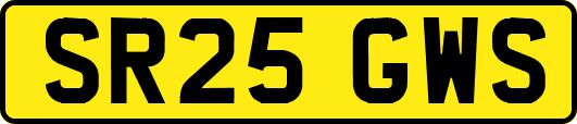 SR25GWS