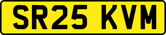 SR25KVM