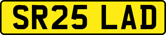 SR25LAD