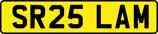 SR25LAM