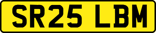 SR25LBM
