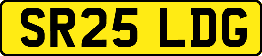 SR25LDG