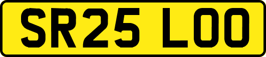 SR25LOO