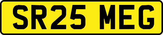 SR25MEG