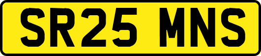 SR25MNS