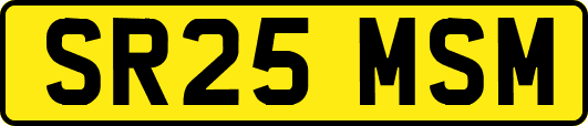 SR25MSM