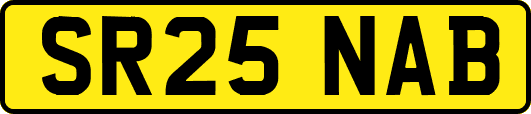 SR25NAB