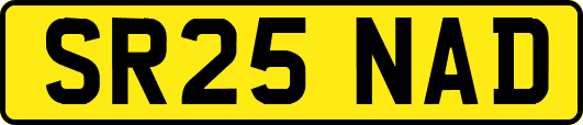 SR25NAD