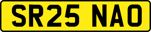 SR25NAO