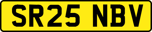 SR25NBV