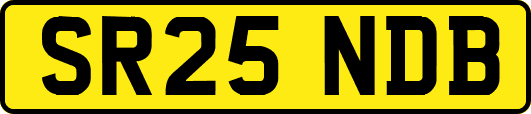 SR25NDB