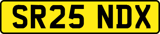 SR25NDX